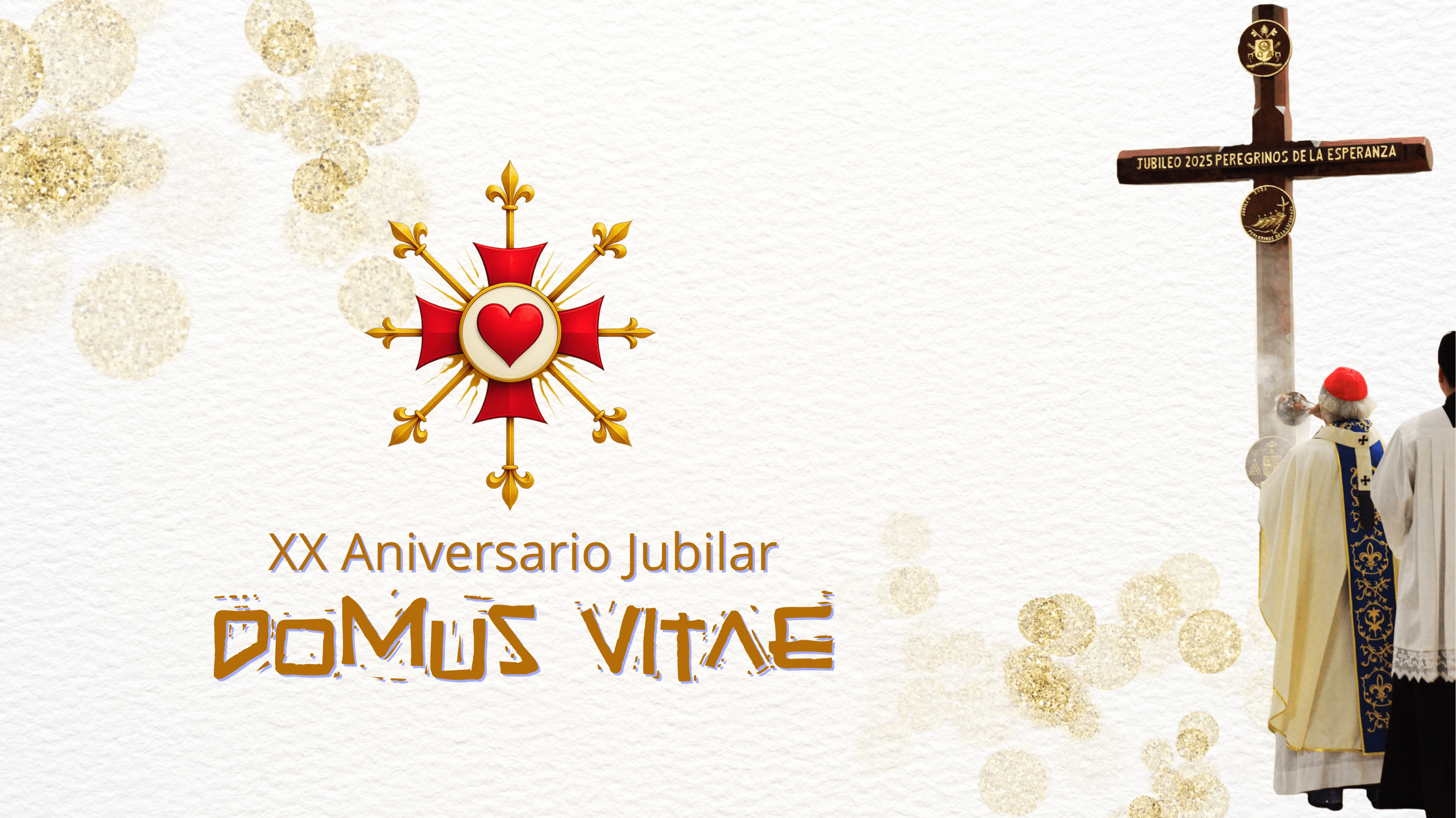 ANIVERSARIO DOMUS VITAE 2025